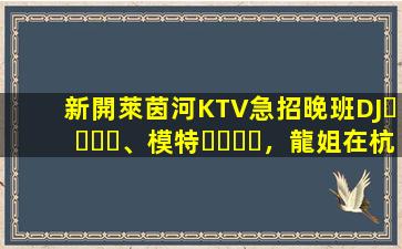 新開萊茵河KTV急招晚班DJ、模特，龍姐在杭州帶你上班